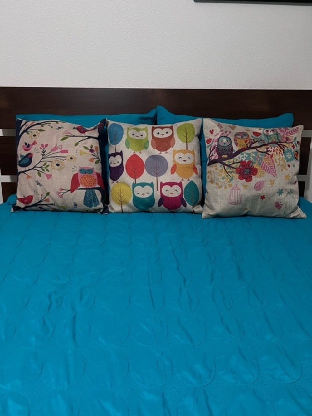 Set of 3 Colorful Owl & Bird Decorative Throw Pillows